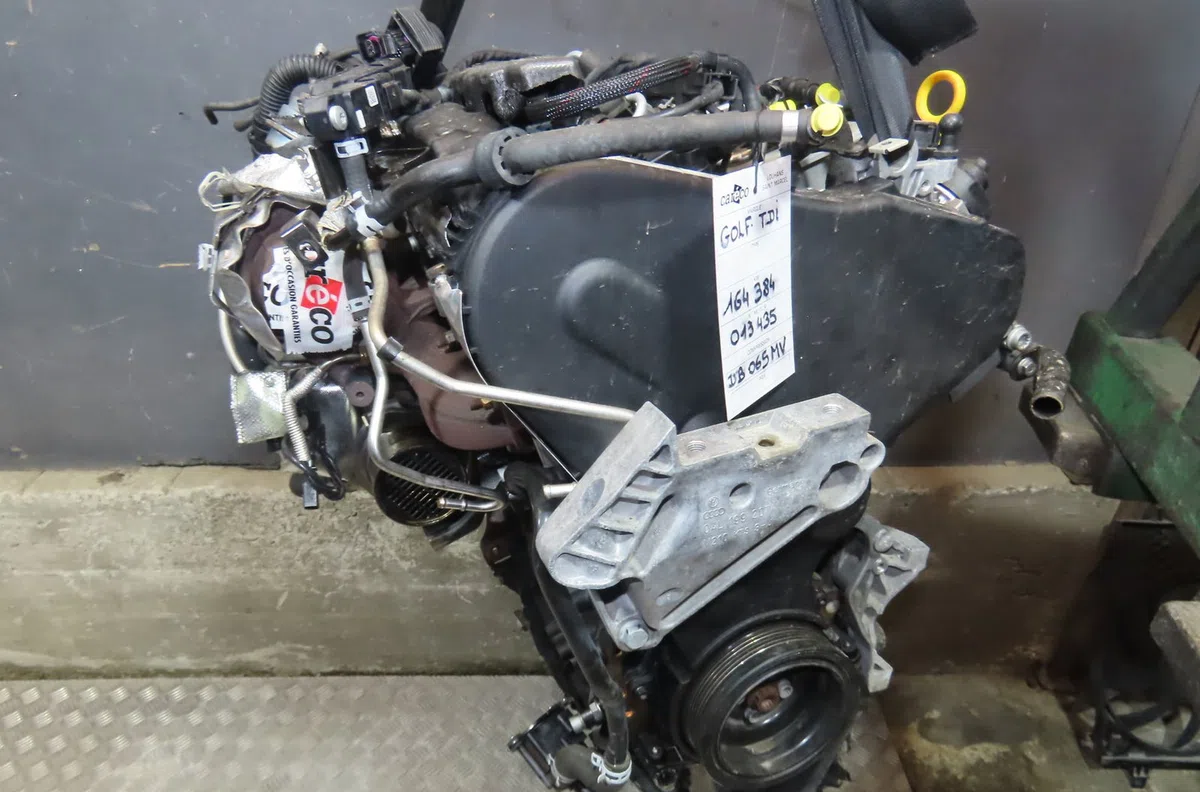 Moteur diesel Volkswagen GOLF VII (5G1, BQ1, BE1, BE2) 1.6 tdi (2012-2017) occasion