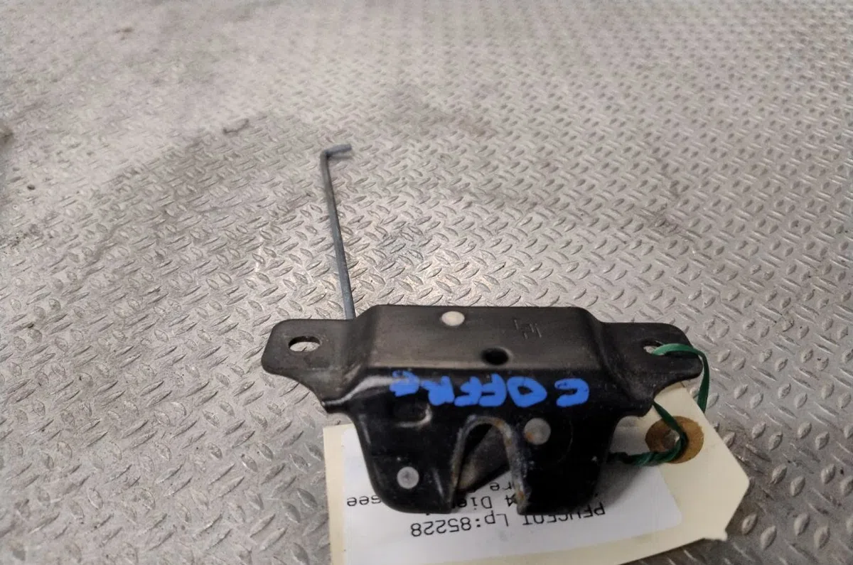 Moteur electrique de hayon-coffre Peugeot 206 (2L_, 2M_) 1.4 hdi eco 70 (2009-2013) 5 portes occasion
