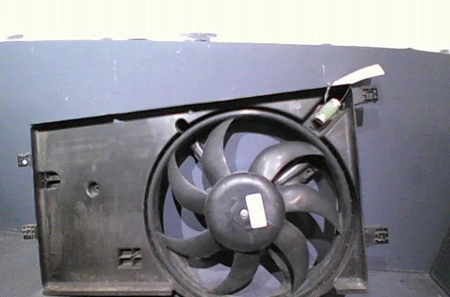 Moteur ventilateur radiateur Fiat FIORINO Camionnette-Monospace (225_) 1.3 d multijet (225bxd1a, 225bxb1a, 225bxb11) (20