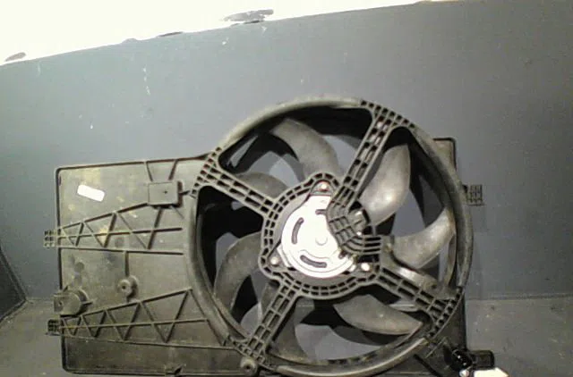 Moteur ventilateur radiateur Fiat FIORINO Camionnette-Monospace (225_) 1.3 d multijet (225bxd1a, 225bxb1a, 225bxb11) (20