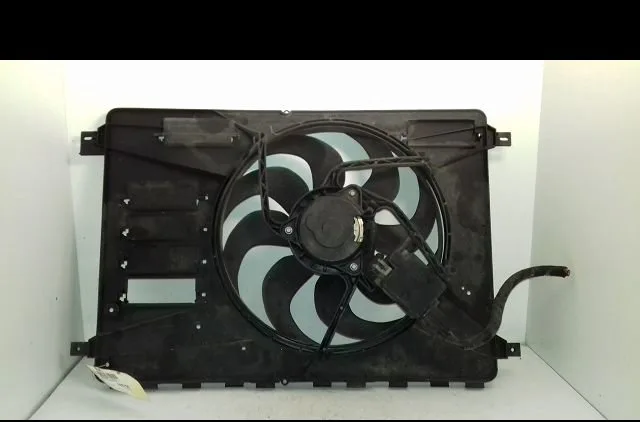 Moteur ventilateur radiateur Ford S-MAX (WA6) 2.0 tdci (2006-2014) occasion