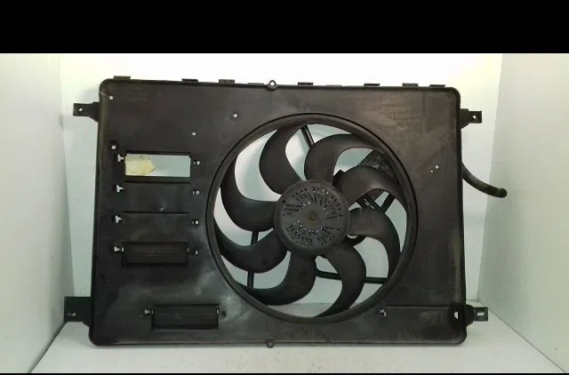 Moteur ventilateur radiateur Ford S-MAX (WA6) 2.0 tdci (2006-2014) occasion