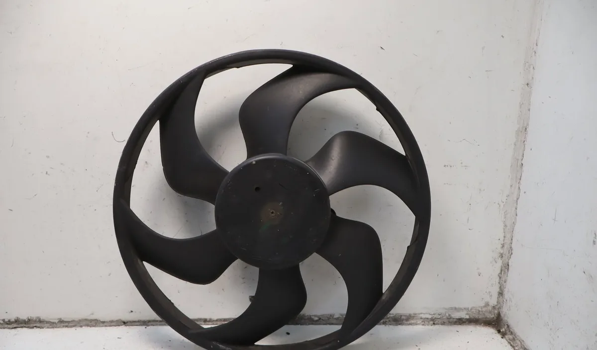 Moteur ventilateur radiateur Renault CLIO III (BR0-1, CR0-1) 1.5 dci (2010-2014) 5 portes occasion
