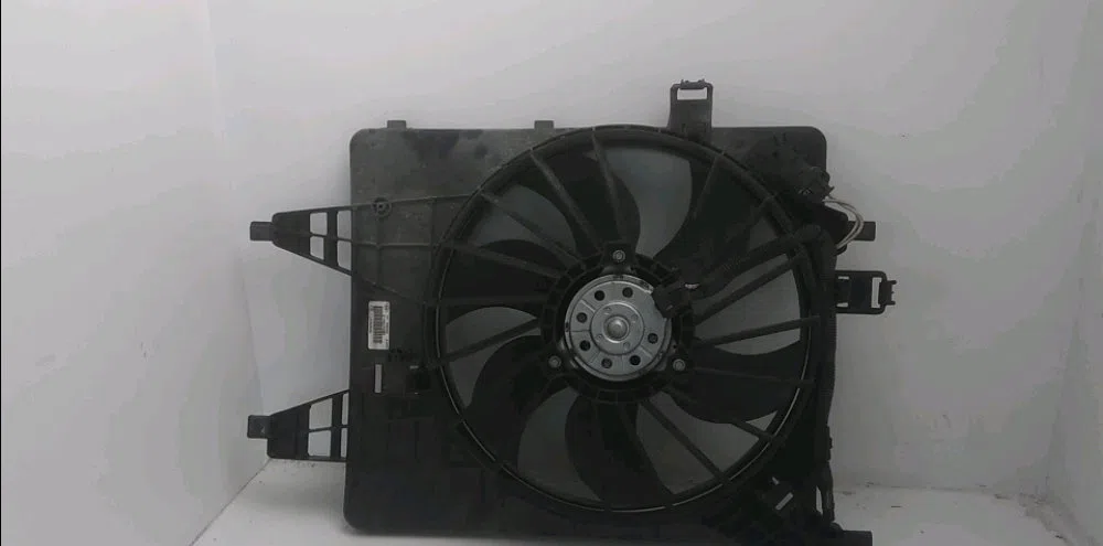 Moteur ventilateur radiateur Renault KANGOO Express (FW0-1_) 1.5 dci 85 (fw0k, fw0l, fw0b) (2008) occasion