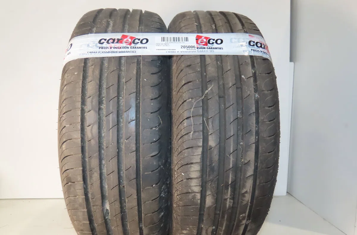 Paire de pneus Renault LAGUNA III (BT0-1) 1.5 dci (bt00, bt0a, bt0t, bt1j) (2007-2015) 5 portes occasion