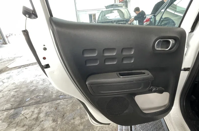 Panneau de porte arriere gauche pour CITROEN C3 3 PHASE 1