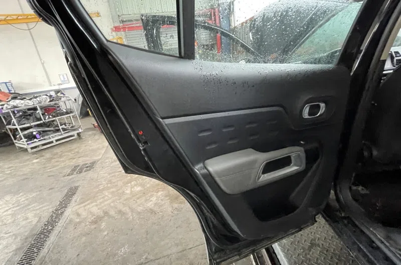 Panneau de porte arriere gauche pour CITROEN C5 AIRCROSS