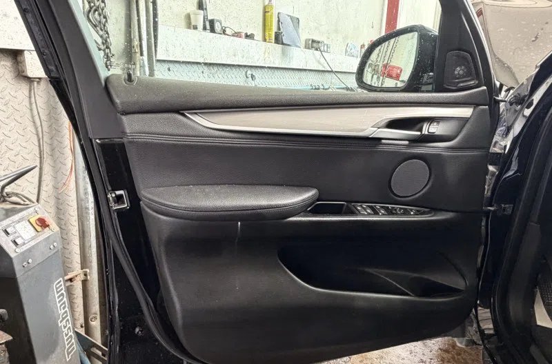 Panneau de porte avant gauche pour BMW X5 F15