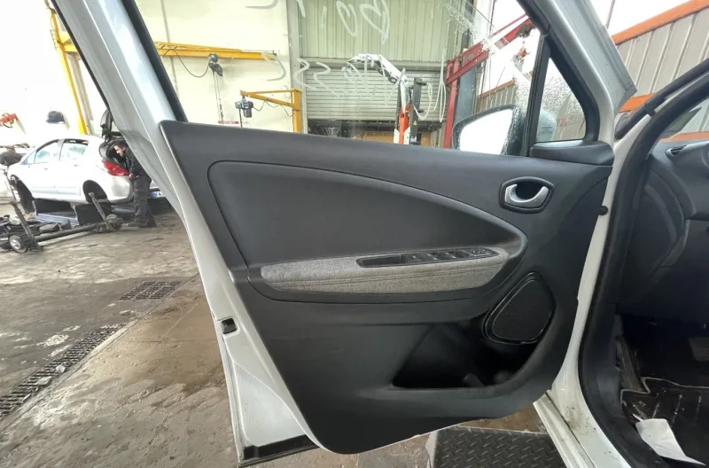 Panneau de porte avant gauche pour RENAULT ZOE 2