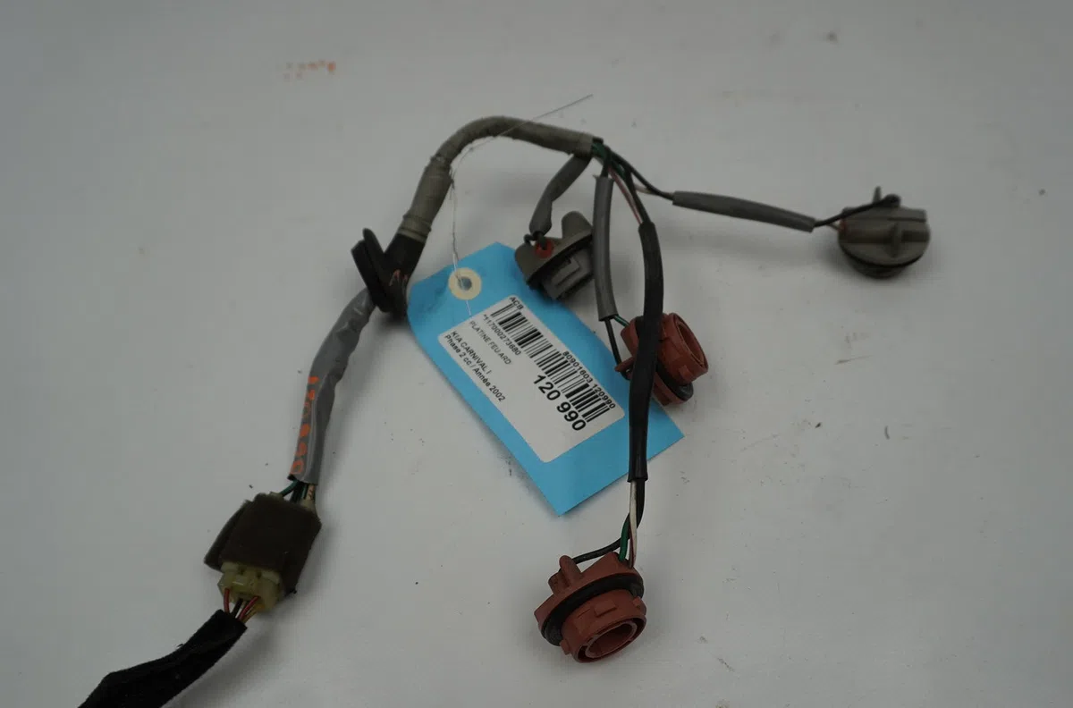 Platine feu ard Kia CARNIVAL II (GQ) 2.9 crdi (2001-2006) occasion
