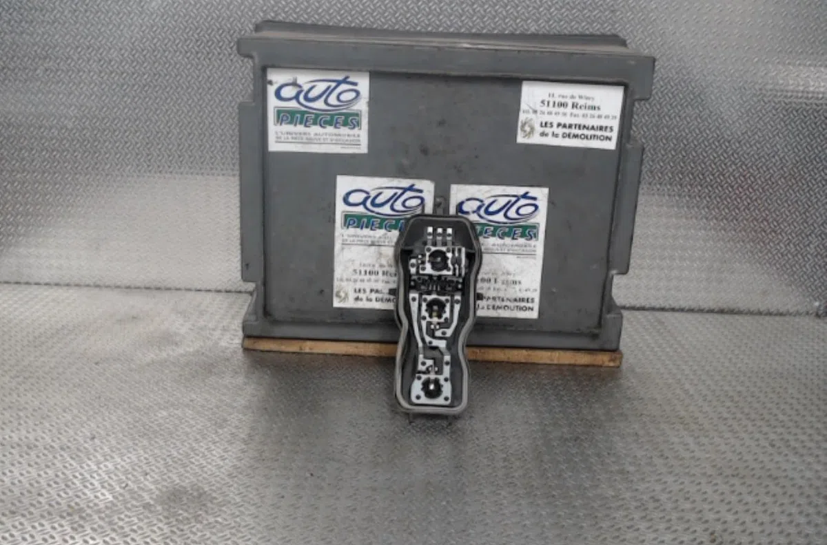 Platine feu ard Renault SCÉNIC II (JM0-1_) 1.9 dci (jm14) (2005-2008) 5 portes occasion