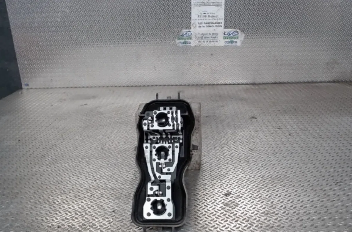 Platine feu arg Renault GRAND SCÉNIC II (JM0-1_) 1.5 dci (jm1e) (2005-2009) 5 portes occasion