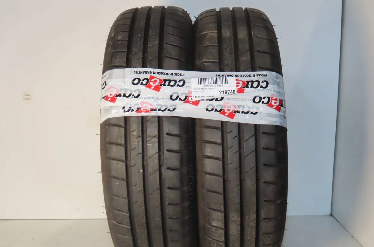 Pneumatiques Renault CLIO III (BR0-1, CR0-1) 1.2 16v (br02, br0j, br11, cr02, cr0j, cr11) (2005-2014) 5 portes occasion