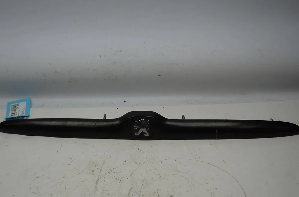 Poignee ext hayon Peugeot 206 3-5 portes (2A-C) 1.9 d (1998-2001) 5 portes occasion