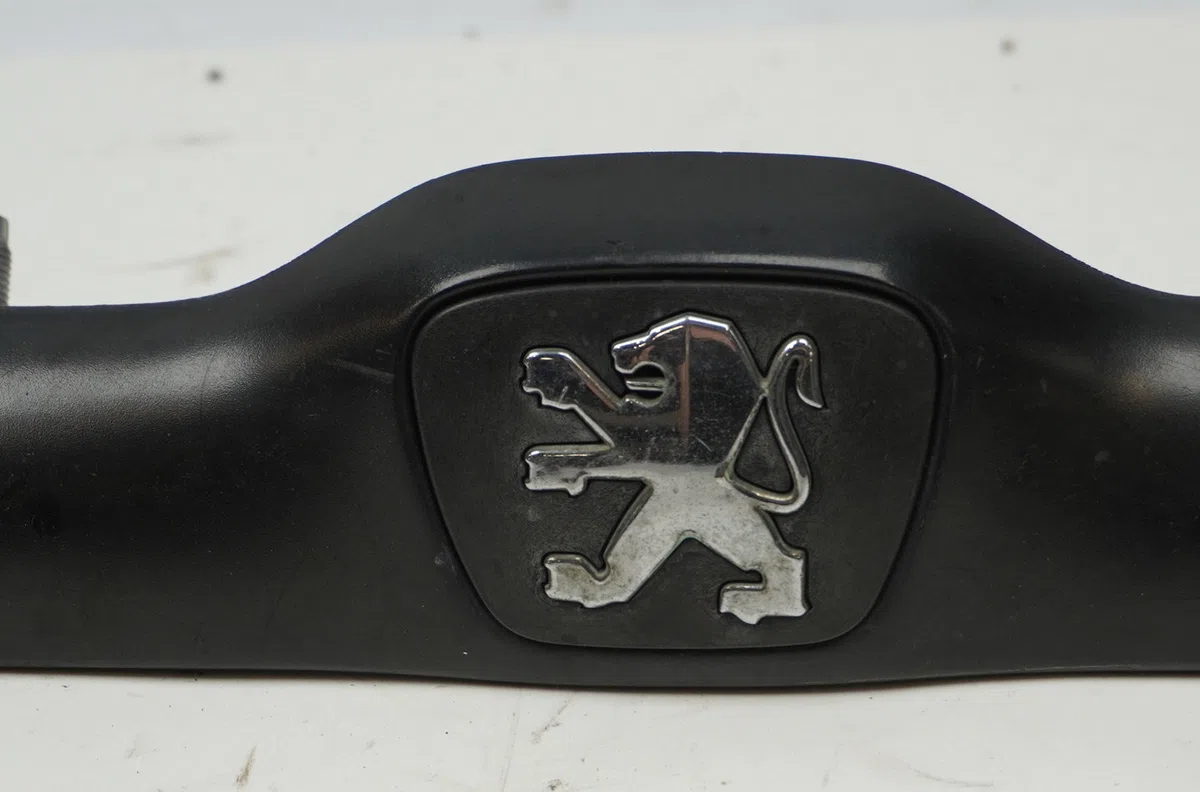 Poignee ext hayon Peugeot 206 3-5 portes (2A-C) 1.9 d (1998-2001) 5 portes occasion