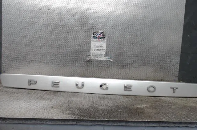 Poignee ext hayon PEUGEOT 308 1 SW  308 1 SW PHASE 1 BREAK occasion