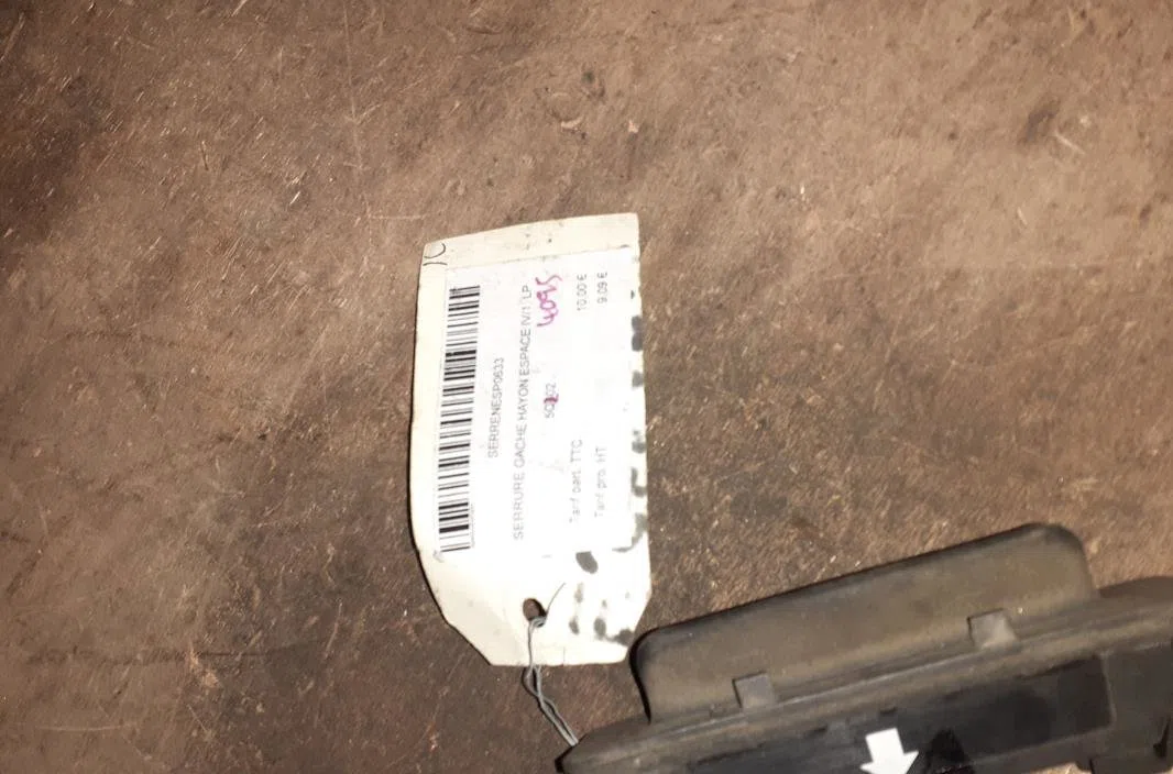 Poignee ext hayon Renault ESPACE IV (JK0-1_) 2.2 dci (jk0h) (2002-2006) occasion