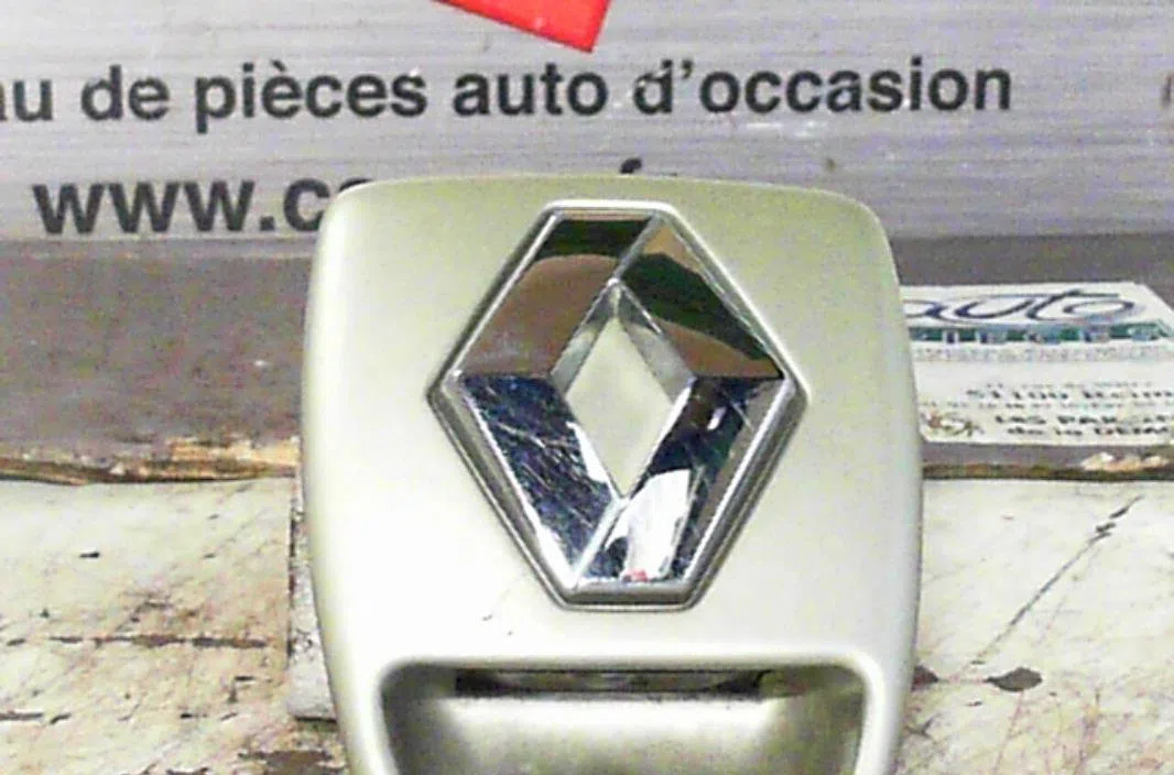 Poignee ext hayon Renault LAGUNA II (BG0-1_) 1.9 dci (bg08, bg0g) (2001-2007) occasion