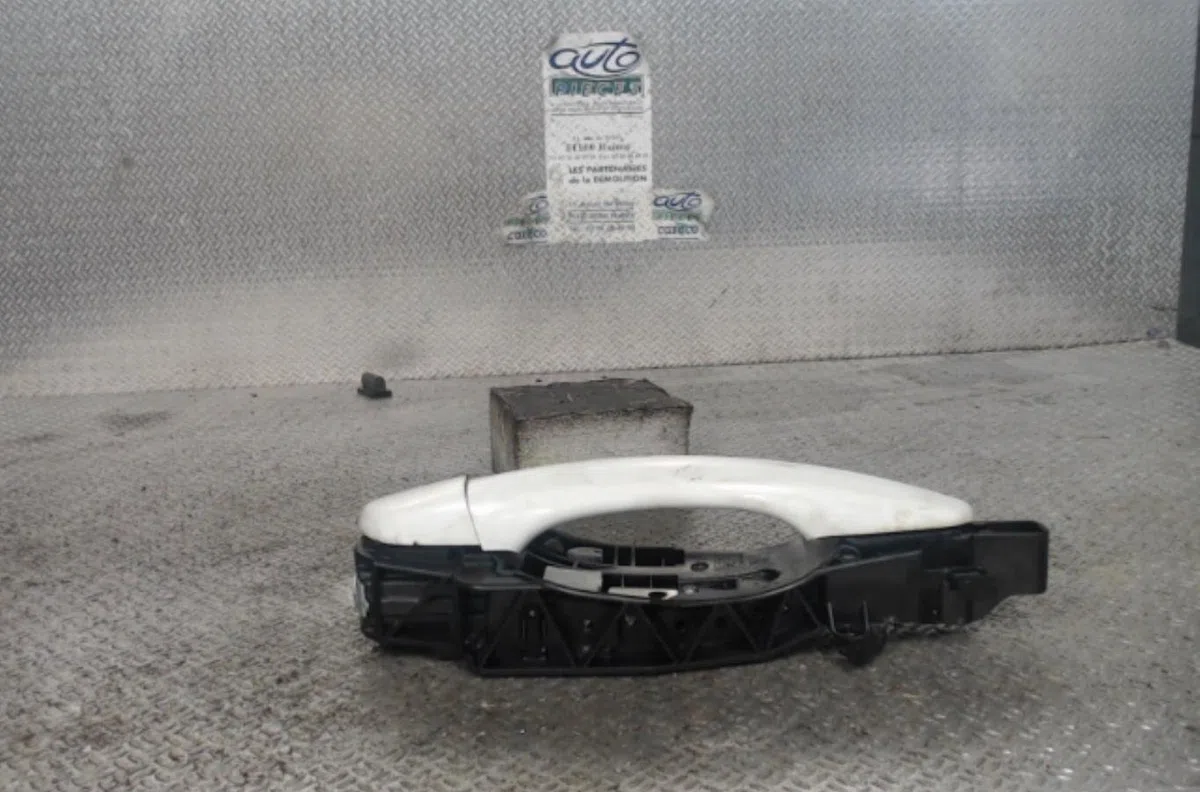 Poignee ext porte ard CITROEN C3 3  C3 3 PHASE 1 occasion