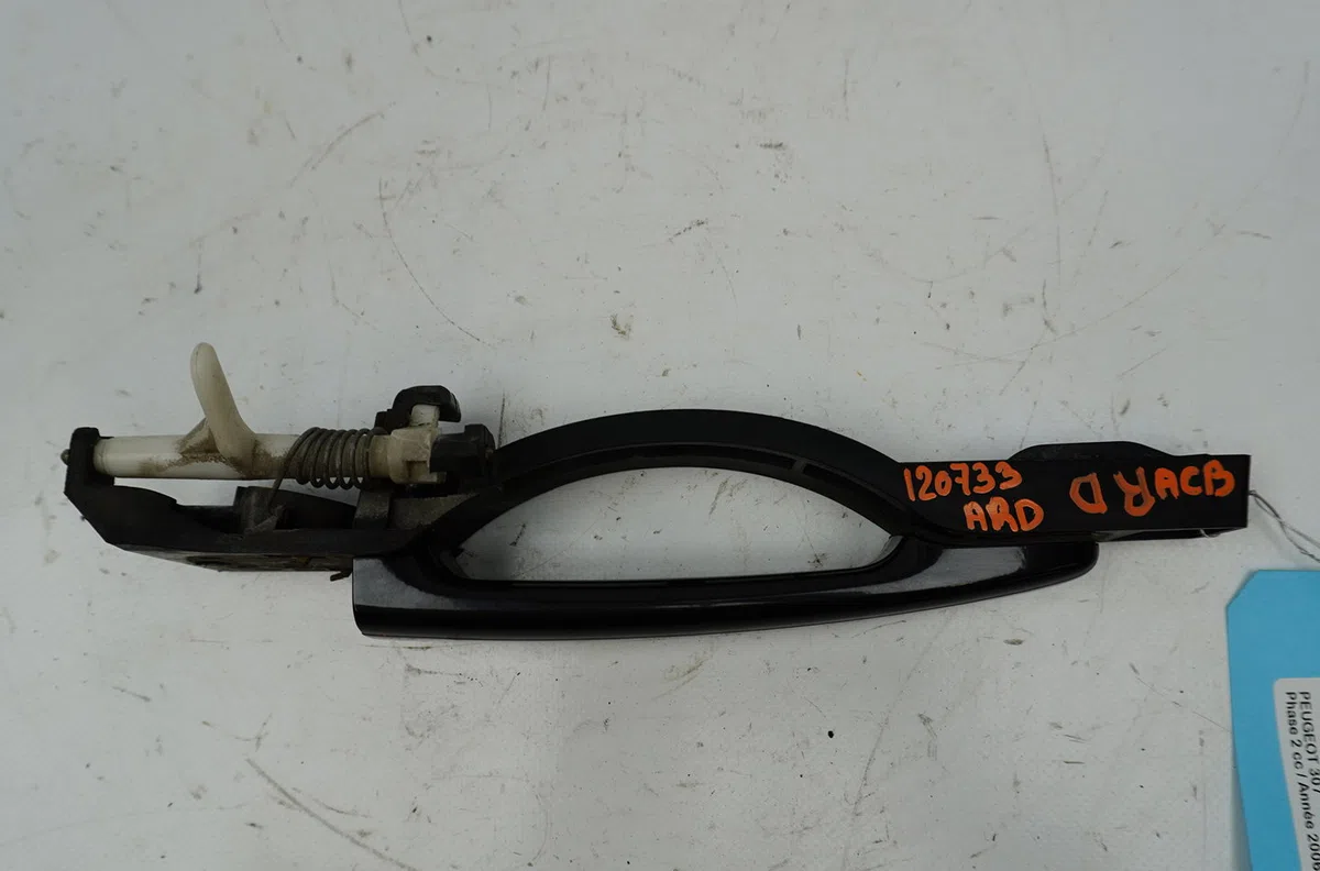 Poignee ext porte ard Peugeot 307 (3A-C) 1.6 hdi 110 (2004-2009) 5 portes occasion