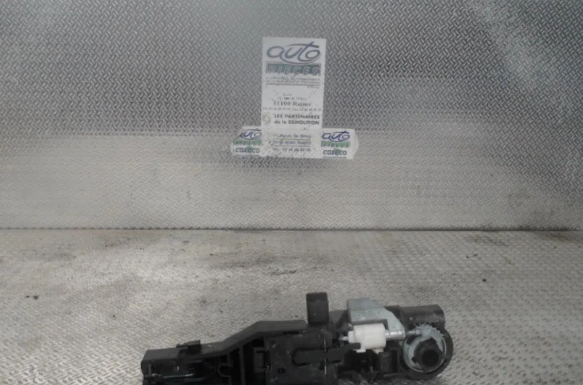 Poignee ext porte arg Renault LAGUNA III Grandtour (KT0-1) 2.0 dci (kt01, kt08, kt09, kt0k, kt12, kt1d, kt1w) (2007-2015