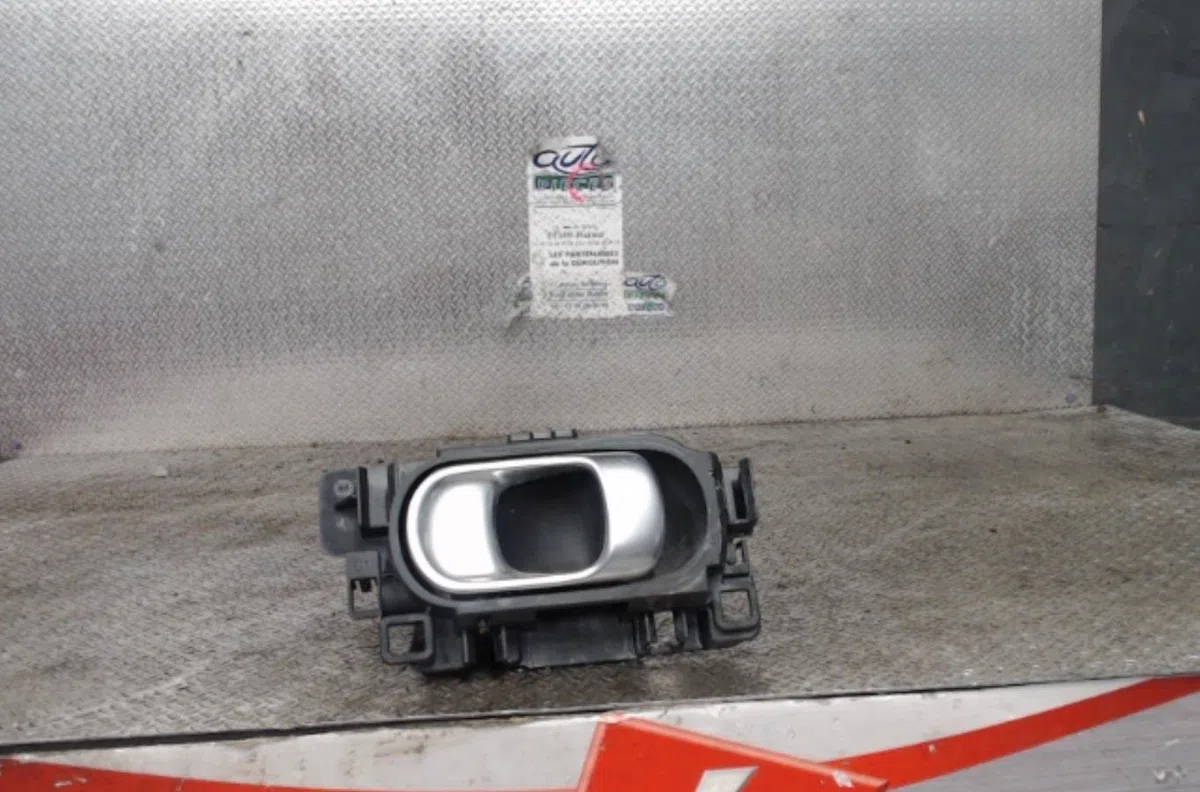 Poignee ext porte avg CITROEN C3 3  C3 3 occasion