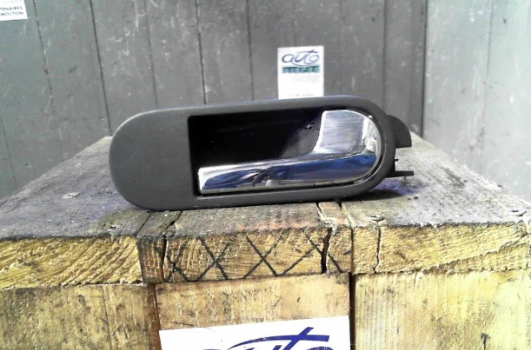 Poignee int porte ard Volkswagen GOLF PLUS V (5M1, 521) 1.9 tdi (2005-2009) 5 portes occasion