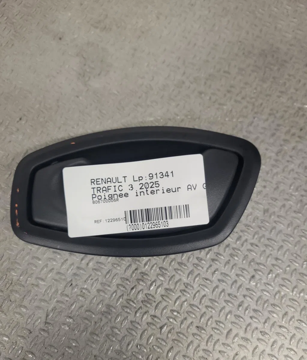 Poignee int porte avg RENAULT TRAFIC 3  0 occasion
