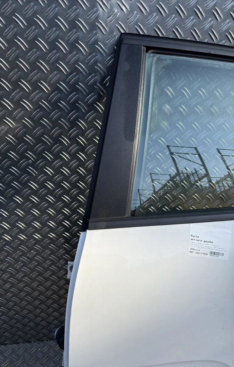 Porte arrière gauche Citroen C3 III (SX) 1.2 thp 110 (2016) occasion