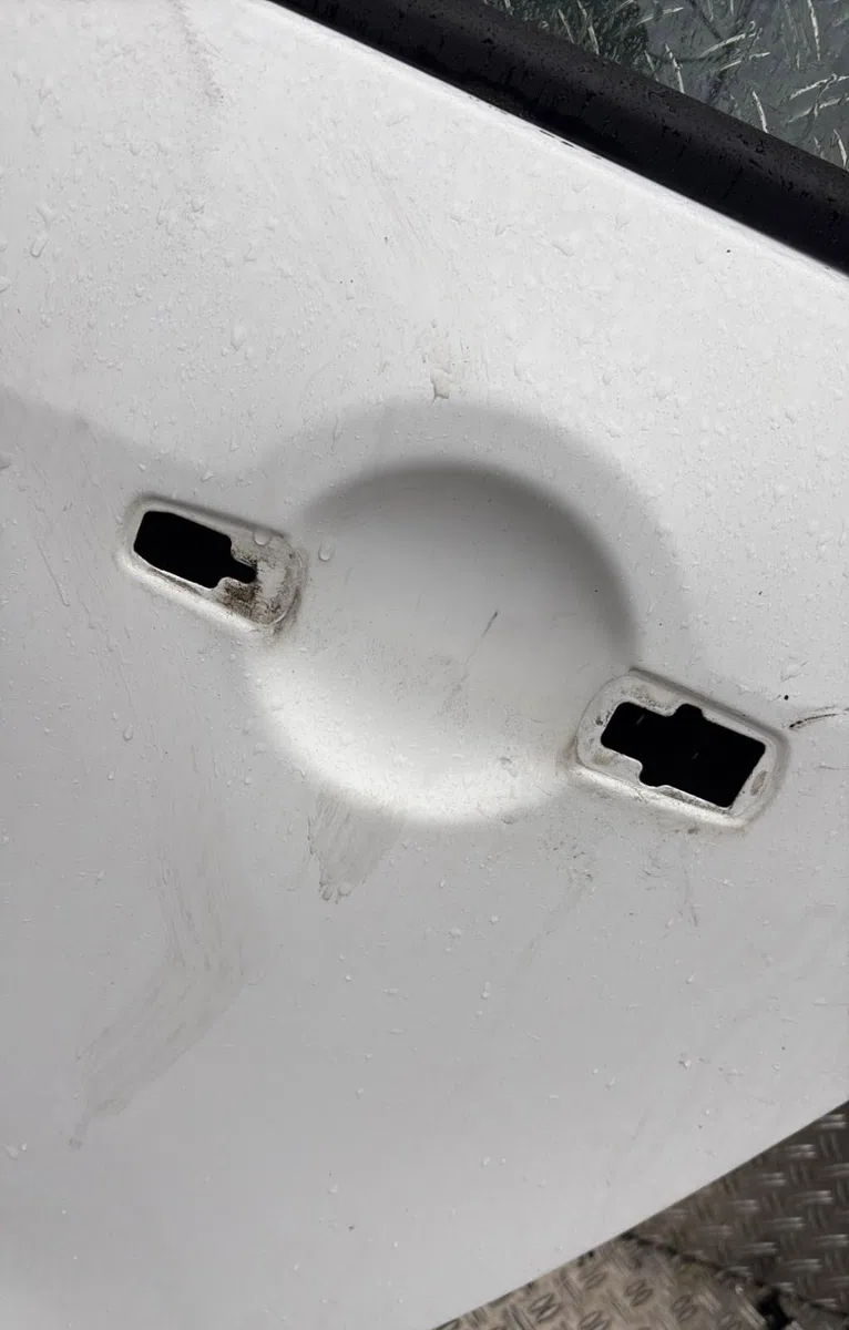 Porte arrière gauche Citroen C3 PICASSO (SH_) 1.6 hdi (2009) 5 portes occasion