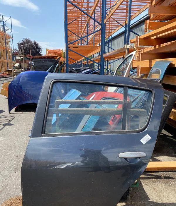 Porte arrière gauche DACIA SANDERO 1 occasion