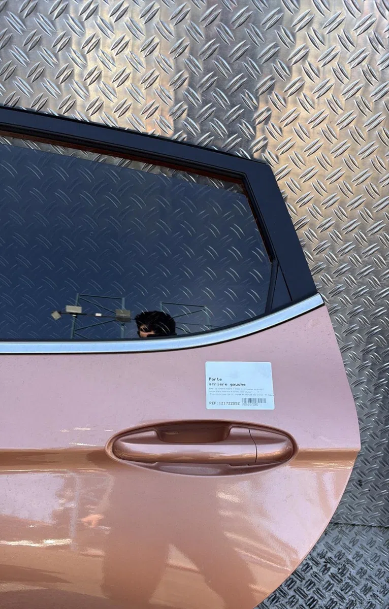 Porte arrière gauche Ford FIESTA VII (HJ, HF) 1.0 ecoboost (2017) occasion