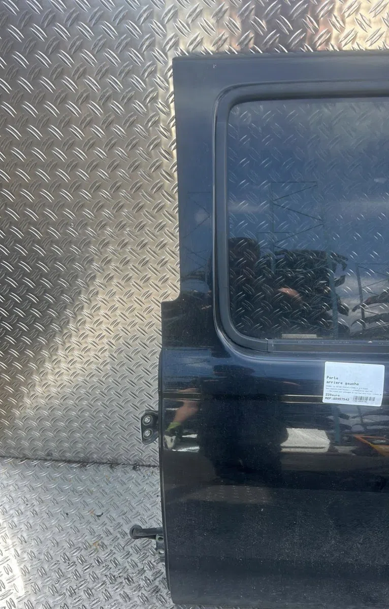 Porte arrière gauche Nissan NP300 PICKUP (D22) 2.5 dci 4x4 (2008) occasion
