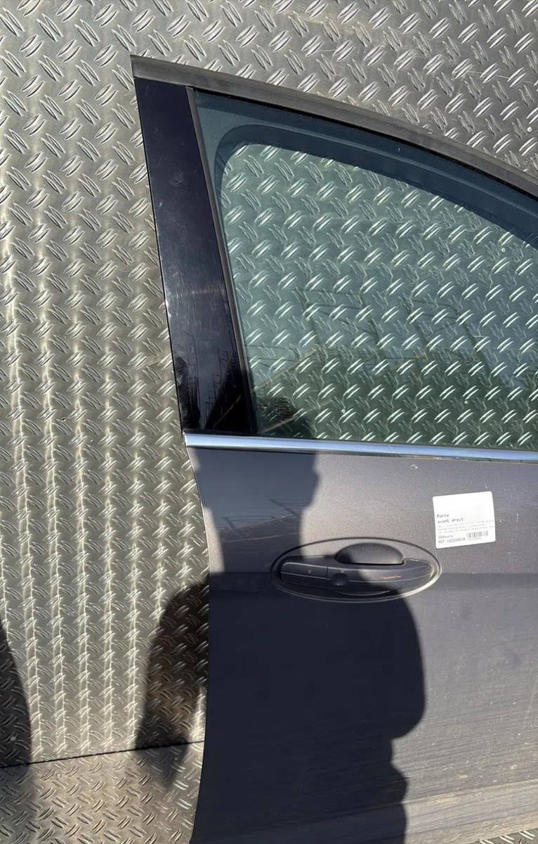 Porte avant droite Ford C-MAX II (DXA-CB7, DXA-CEU) 2.0 tdci (2010-2019) occasion