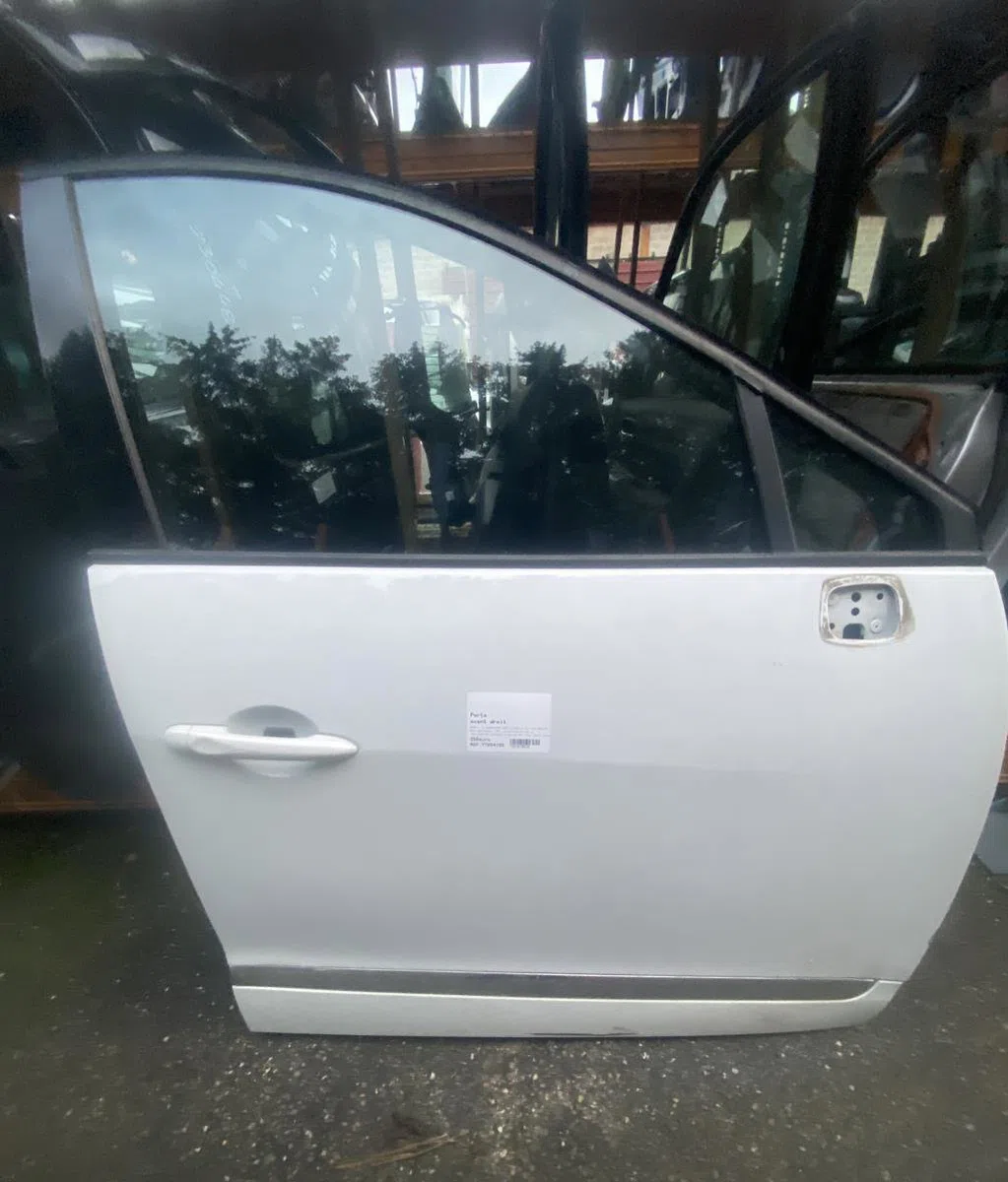 Porte avant droite RENAULT GRAND SCENIC 3 PHASE 2 occasion