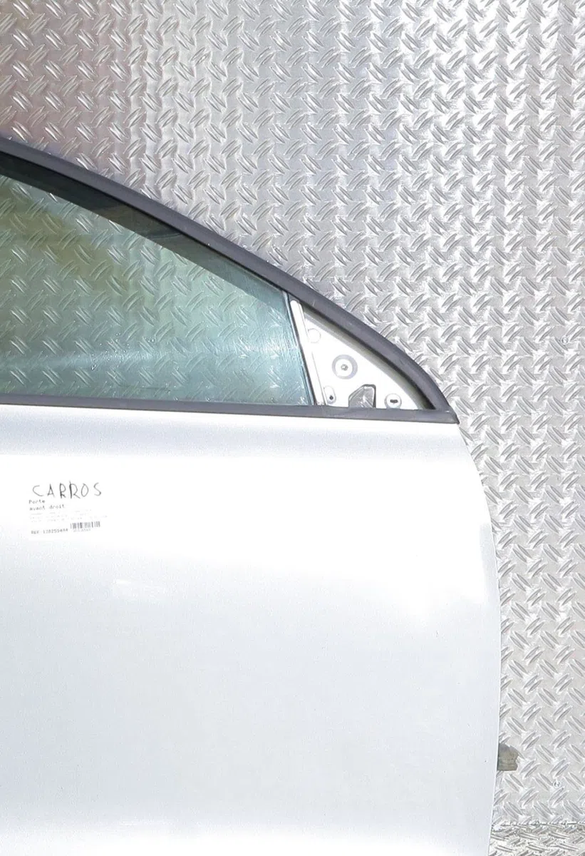 Porte avant droite VOLKSWAGEN JETTA 4 occasion