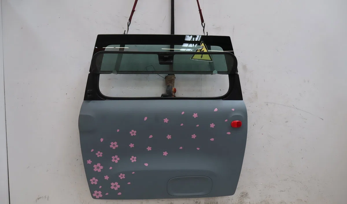 Porte avant gauche Citroen AMI (9A_) Electric (9az2ca) (2020) occasion