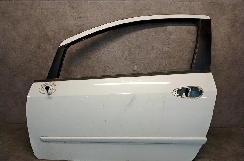 Porte avant gauche Fiat GRANDE PUNTO (199_) 1.3 d multijet (2008) occasion
