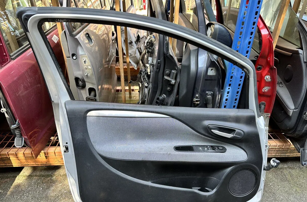 Porte avant gauche FIAT PUNTO EVO 3 occasion