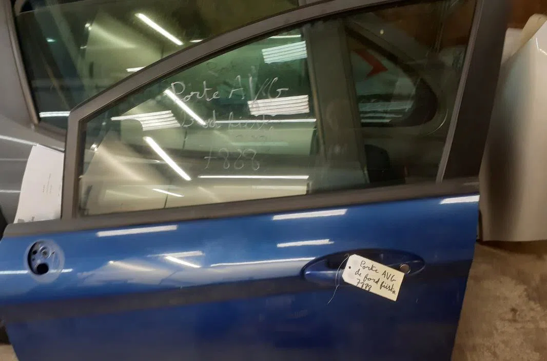 Porte avant gauche FORD FIESTA 6 PHASE 1 occasion
