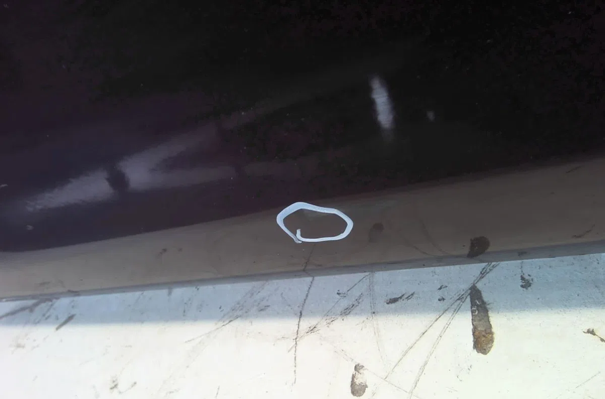 Porte avant gauche FORD KA 2 PHASE 2 occasion