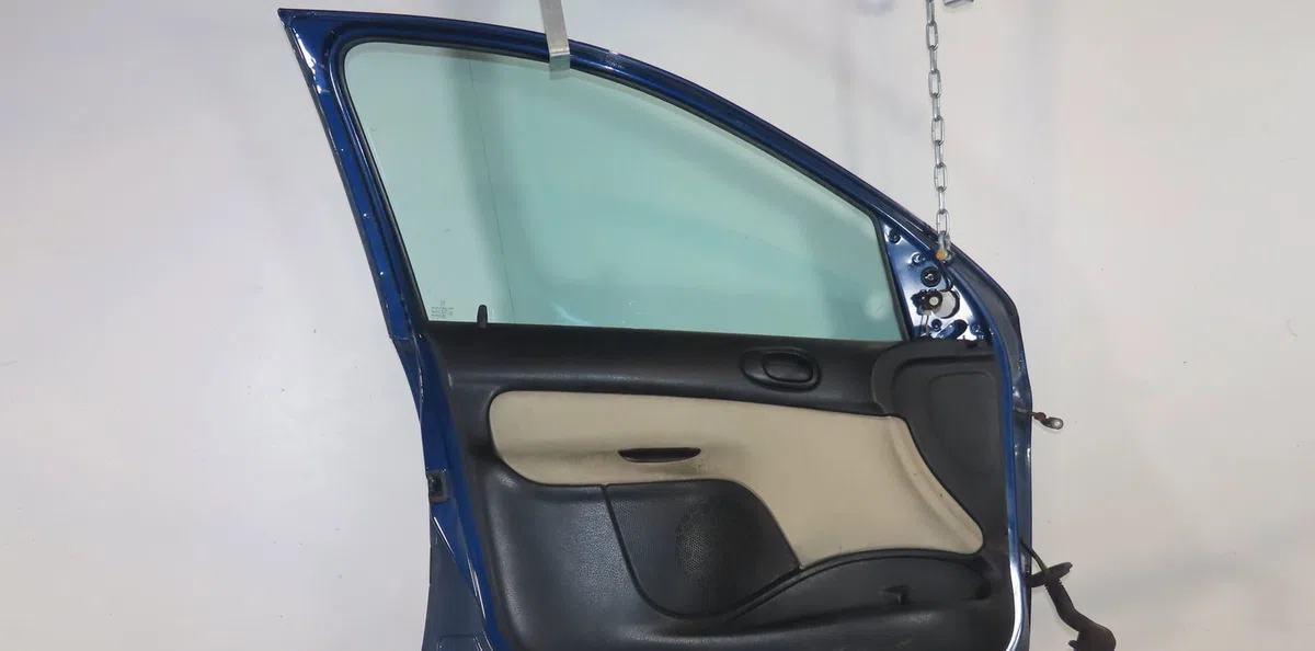 Porte avant gauche Peugeot 206 3-5 portes (2A-C) 1.4 hdi eco 70 (2001-2009) 5 portes occasion