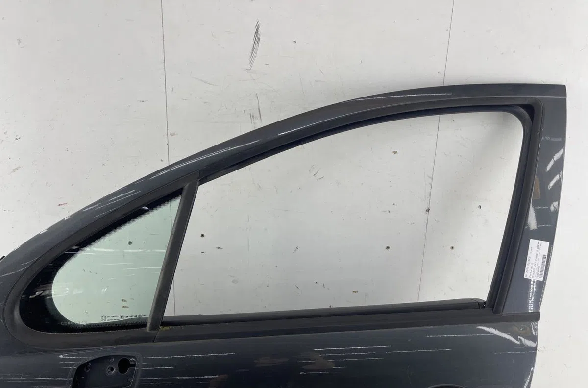 Porte avant gauche PEUGEOT 207 PHASE 2 BREAK occasion