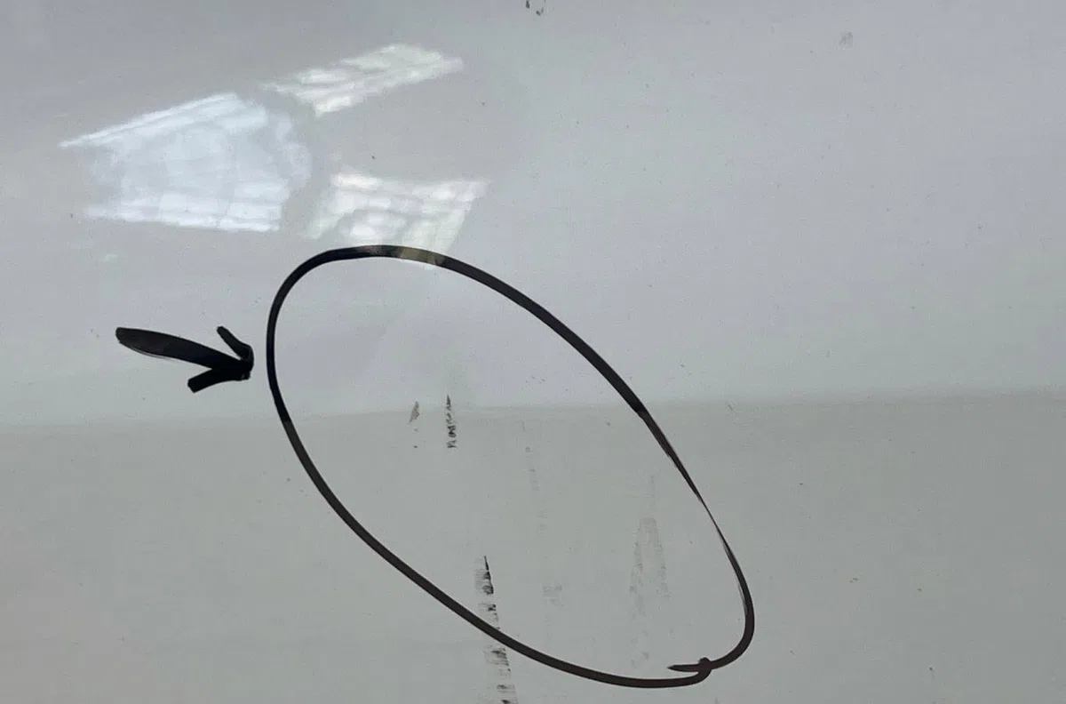 Porte avant gauche RENAULT CLIO 3 PHASE 1 occasion