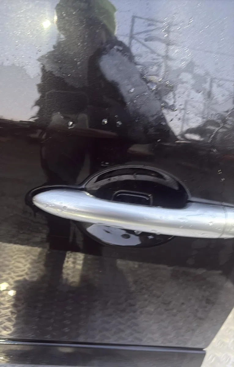 Porte avant gauche Renault ESPACE IV (JK0-1_) 2.0 dci (jk03, jk04, jk1c, jk1g, jk1j, jk1k) (2006) 5 portes occasion