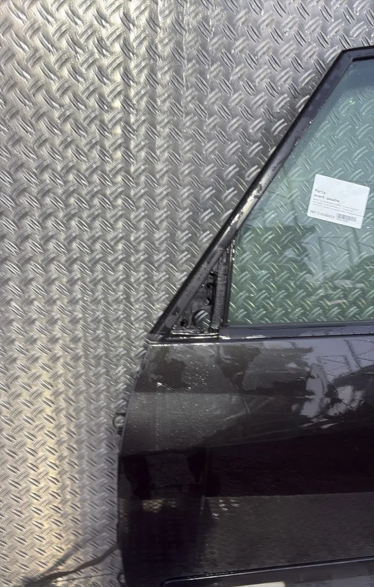 Porte avant gauche Renault ESPACE IV (JK0-1_) 2.0 dci (jk03, jk04, jk1c, jk1g, jk1j, jk1k) (2006) 5 portes occasion