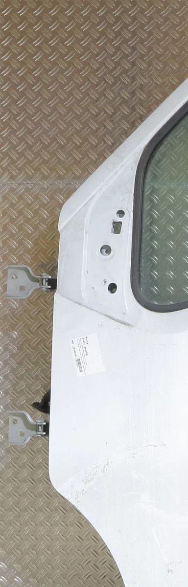 Porte avant gauche Renault MASTER III Camionnette (FV) 2.3 dci 135 fwd (fv0n, fv08) (2014) occasion