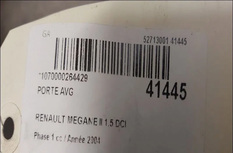 Porte avant gauche Renault MEGANE II (BM0-1_, CM0-1_) 1.5 dci (bm0f, bm0t, bm2b, cm0f, cm0t) (2002-2008) 5 portes occasi