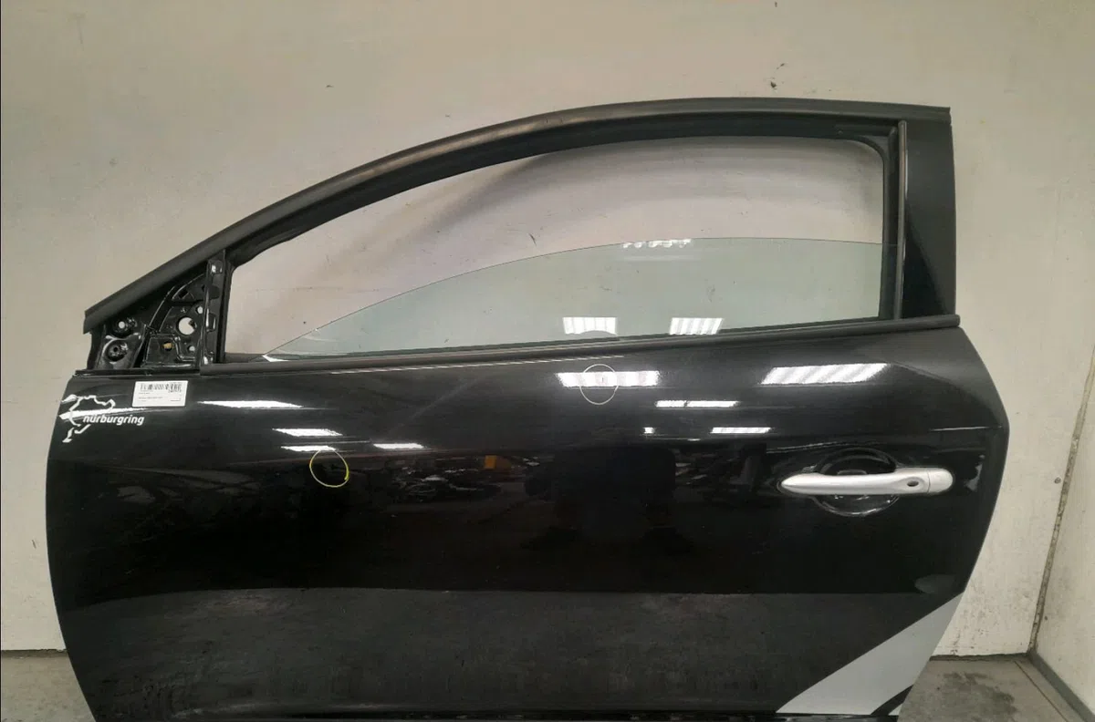 Porte avant gauche RENAULT MEGANE III occasion
