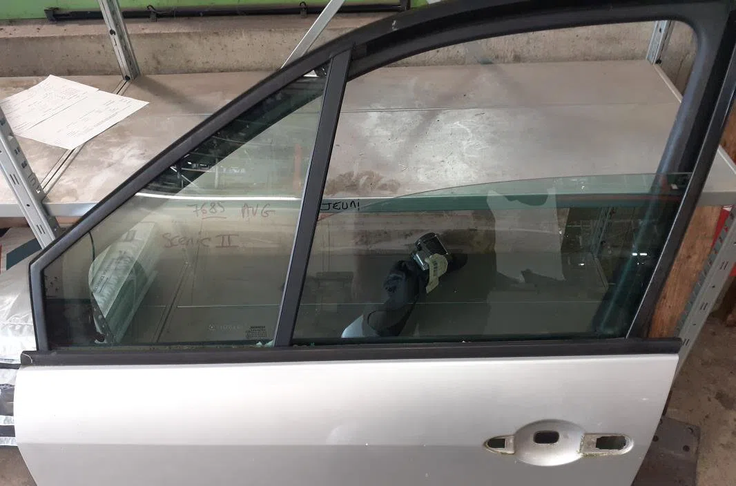 Porte avant gauche Renault SCÉNIC II (JM0-1_) 1.5 dci (jm1e, jm16) (2005-2008) 5 portes occasion